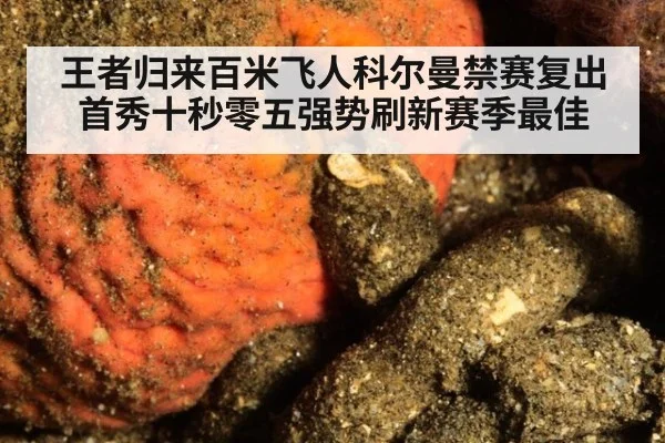 王者归来百米飞人科尔曼禁赛复出首秀十秒零五强势刷新赛季最佳